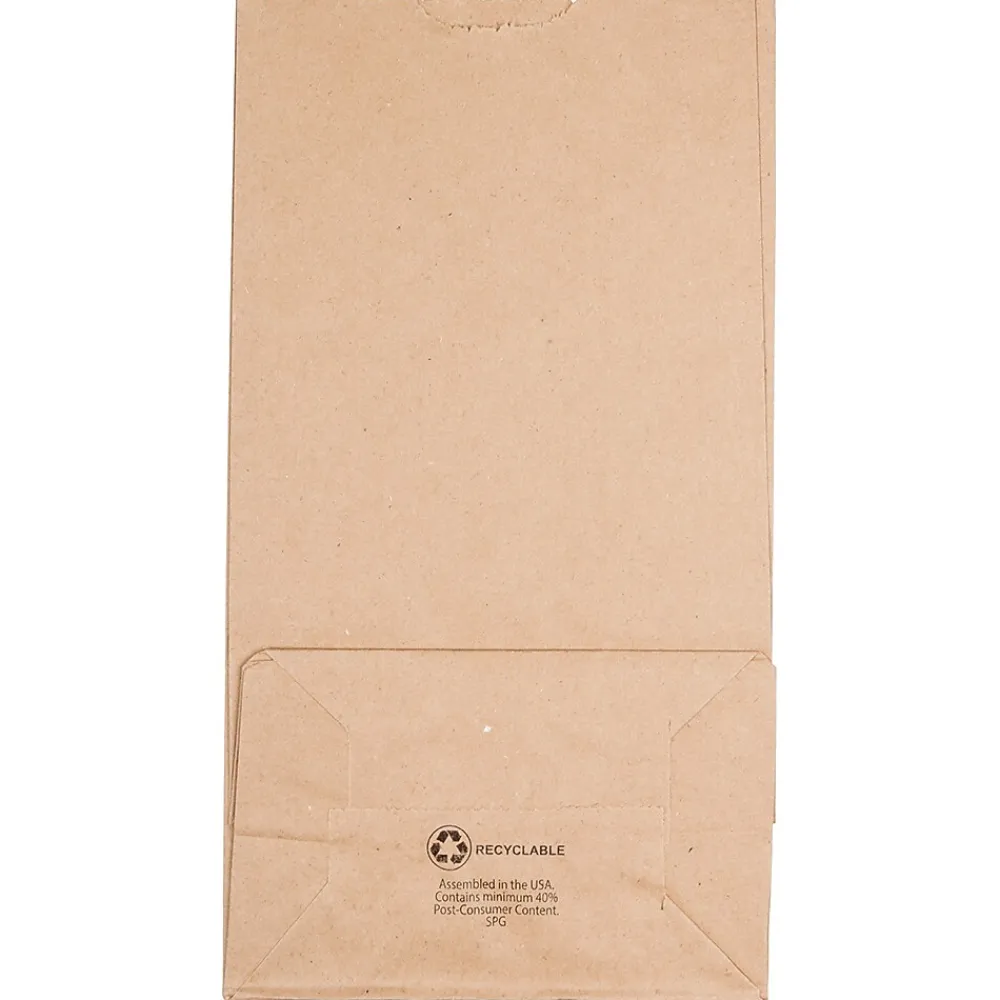 Lunch Totes & Water Bottles|JAM Paper Kraft Lunch Bags, 11" x 6" x 3.5", Brown, 25/Pack (692KRBR)