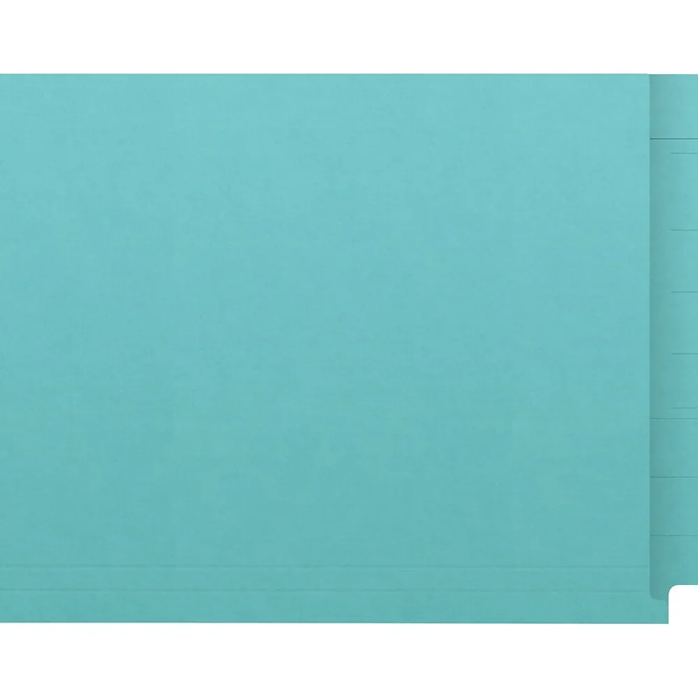 File Folders|Medical Arts Press Kardex Match Reinforced End Tab File Folder, Straight Cut, Letter Size, Light Blue, 100/Box (S-09482-LBL)