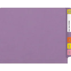 File Folders|Medical Arts Press Reinforced End Tab File Folder, Straight Cut, Letter-Size, Lavender, 250/Carton (S-01602-LAV-B)