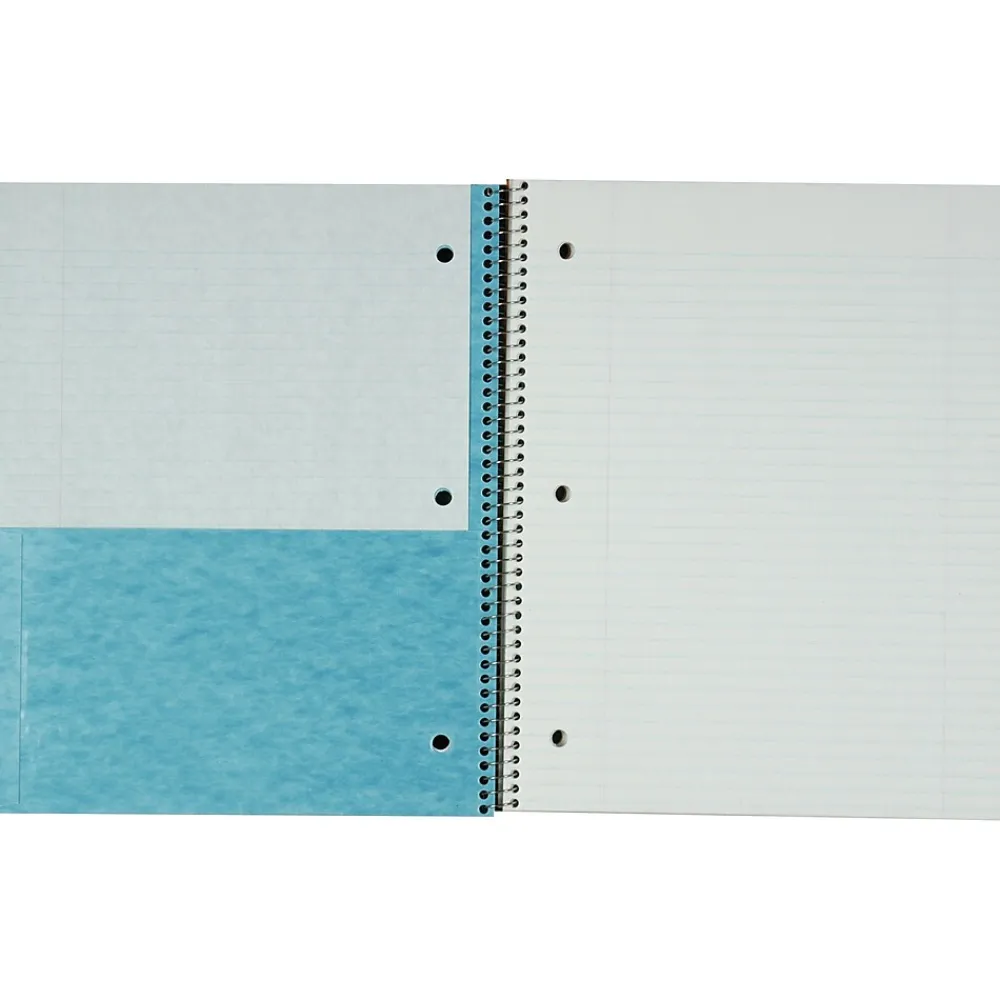 Subject Notebooks|Oxford Earthwise 1-Subject Notebooks, 9" x 11", College Ruled, 100 Sheets, Each (25-419R)